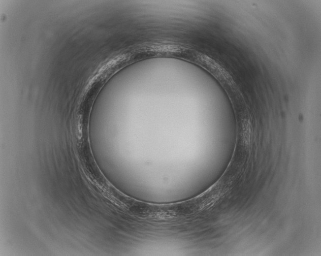 X0000081580731200702051238