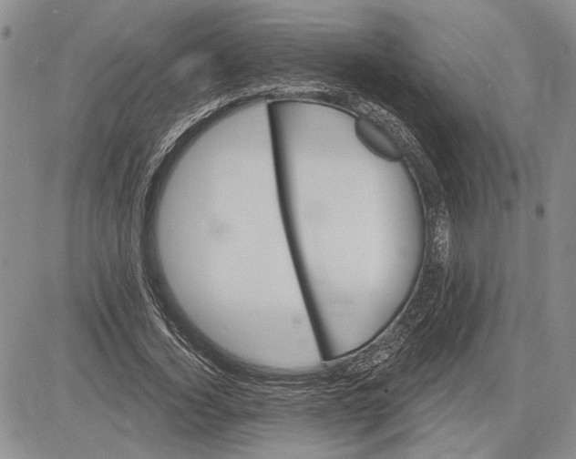 X0000081580732200702051238