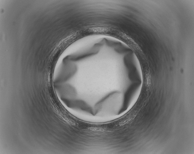 X0000081580733200702051238