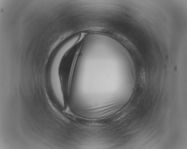 X0000081580734200702051238