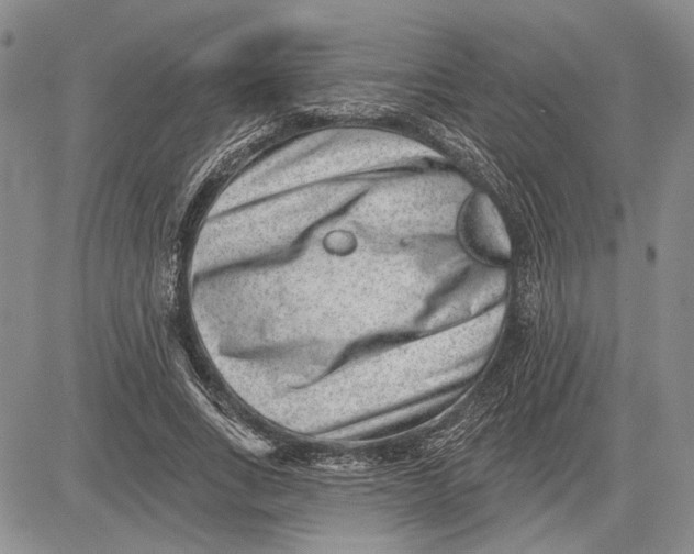 X0000081580735200702051238