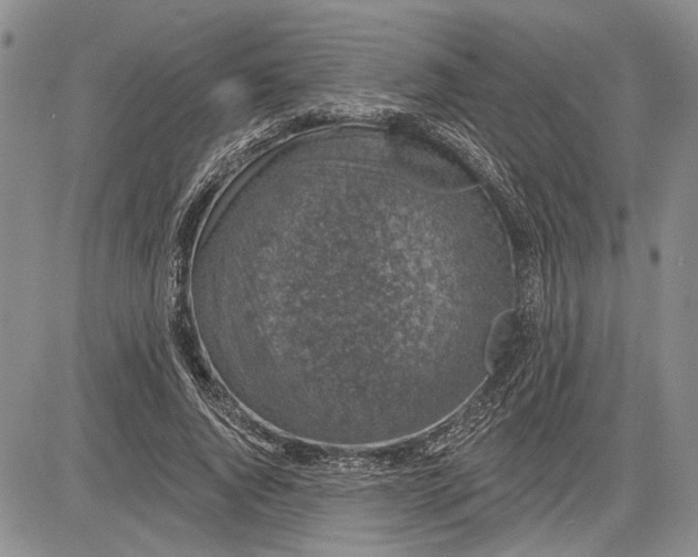 X0000081580736200702051238