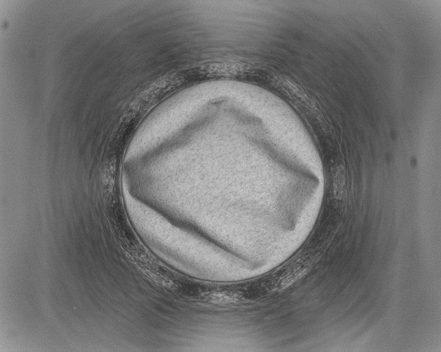 X0000081580737200702051238