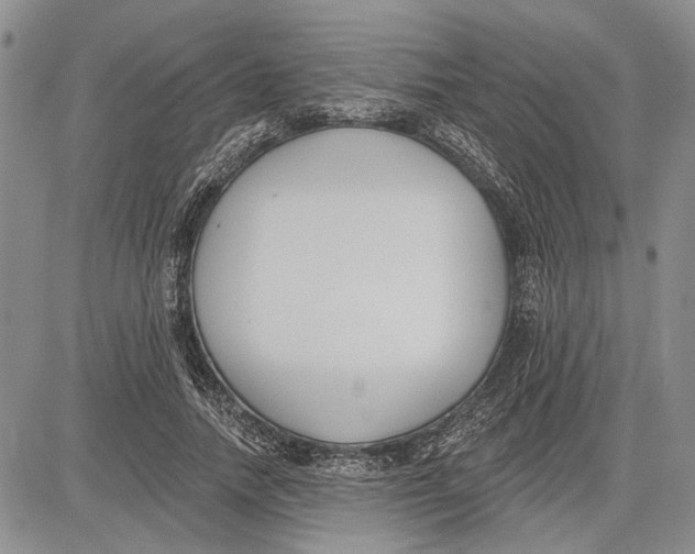 X0000081580738200702051238