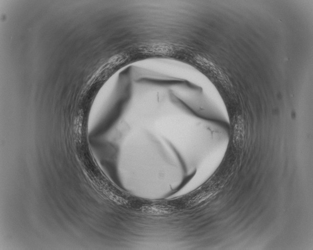 X0000081580739200702051238