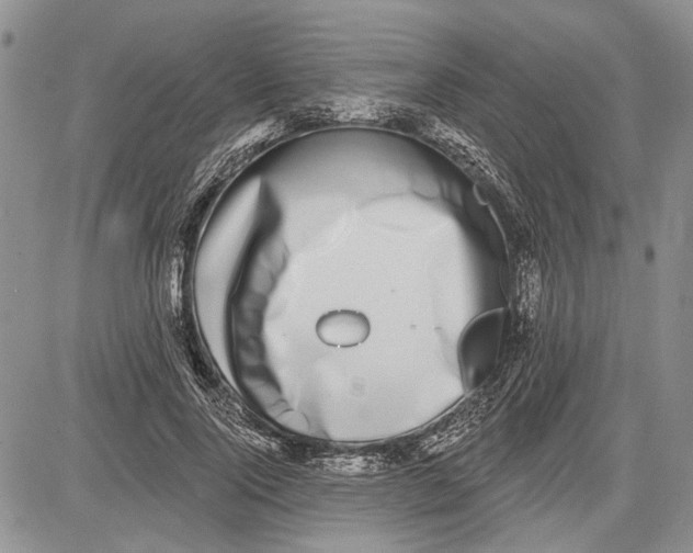 X0000081580740200702051239