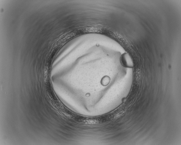 X0000081580741200702051239