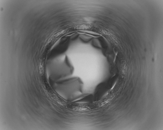 X0000081580743200702051239