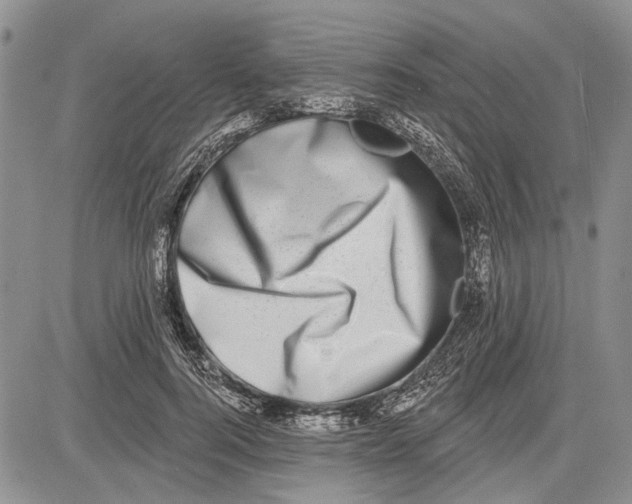 X0000081580744200702051239