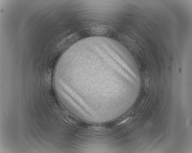 X0000081580745200702051239