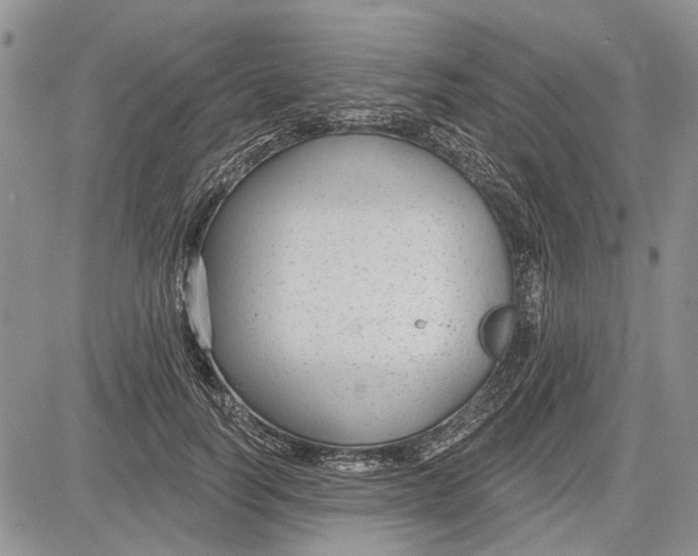 X0000081580746200702051239