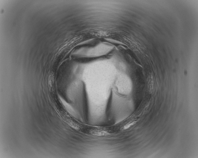 X0000081580747200702051239