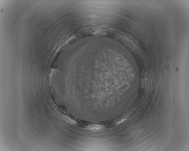 X0000081580748200702051239