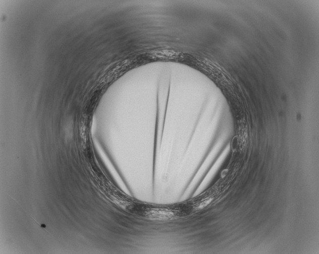 X0000081580749200702051239