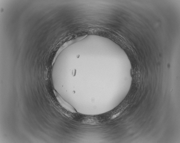 X0000081580750200702051239