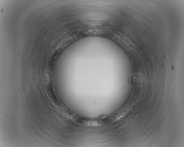 X0000081580751200702051239