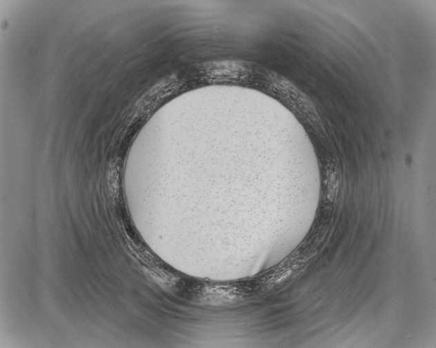 X0000081580753200702051239