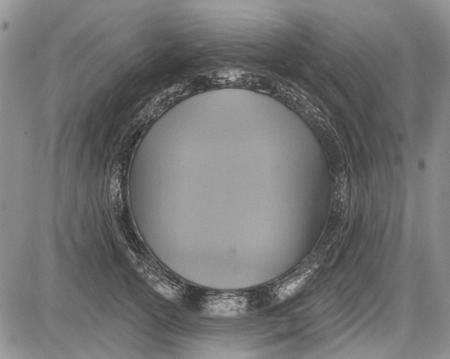 X0000081580754200702051239