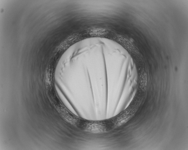 X0000081580755200702051239