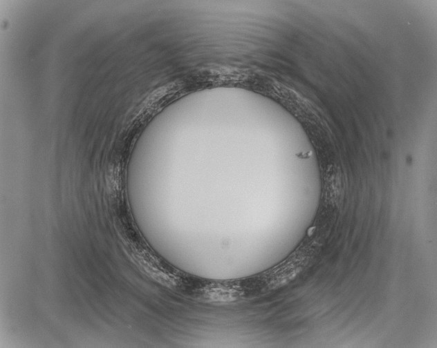 X0000081580756200702051239