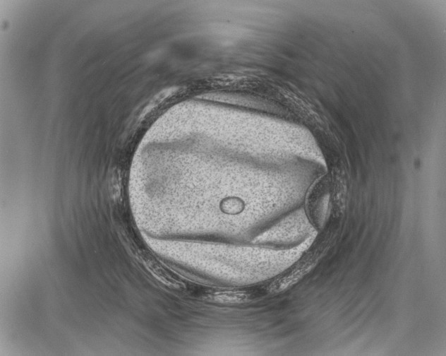 X0000081580758200702051239