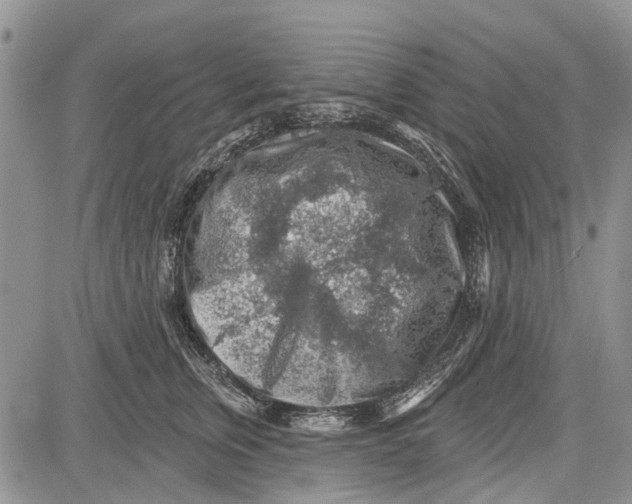 X0000081580759200702051239