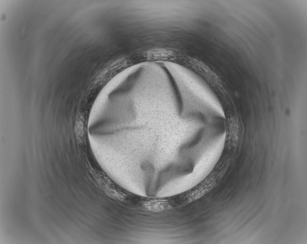 X0000081580761200702051239