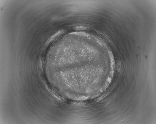 X0000081580763200702051239