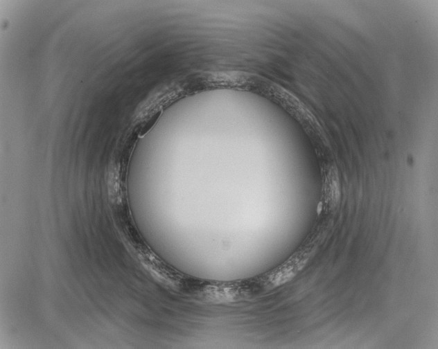 X0000081580764200702051239