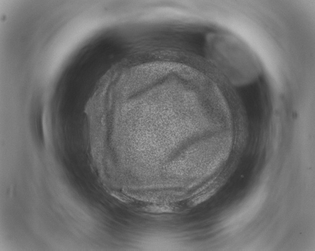 X0000081580765200702051239