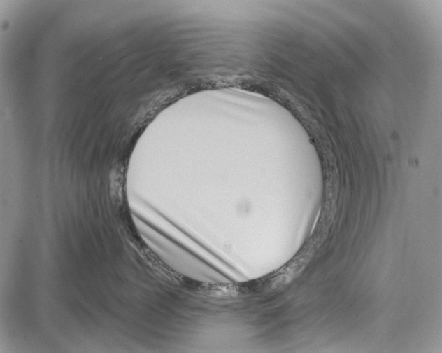 X0000081580768200702051239