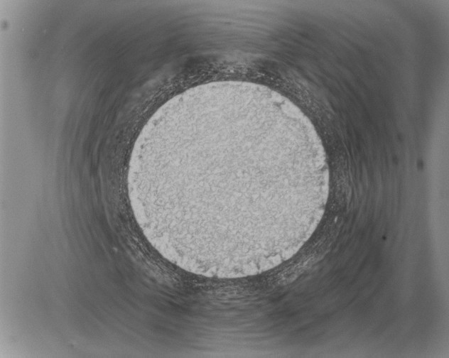 X0000081580769200702051238