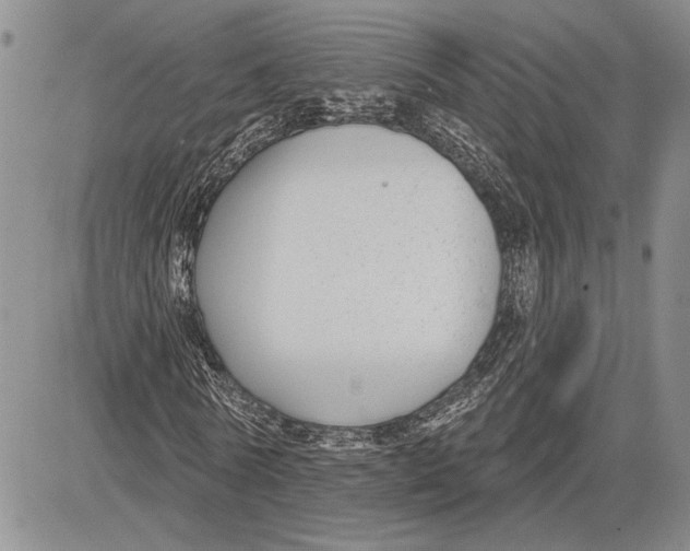 X0000081580770200702051238