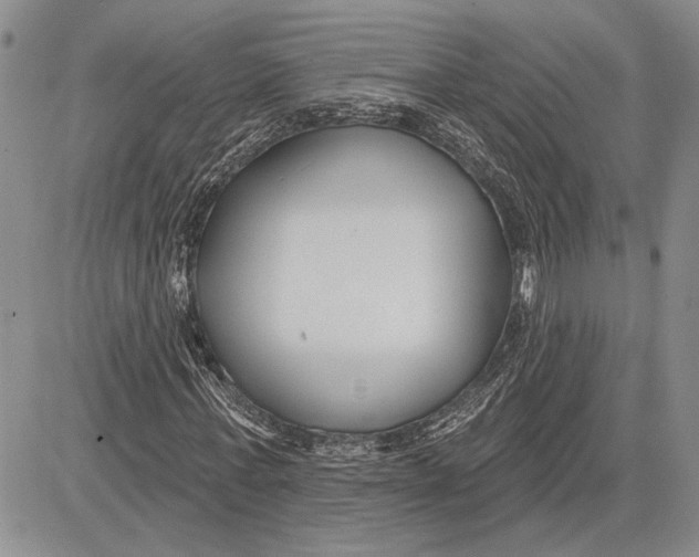 X0000081580771200702051238