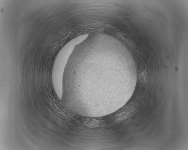 X0000081580772200702051238