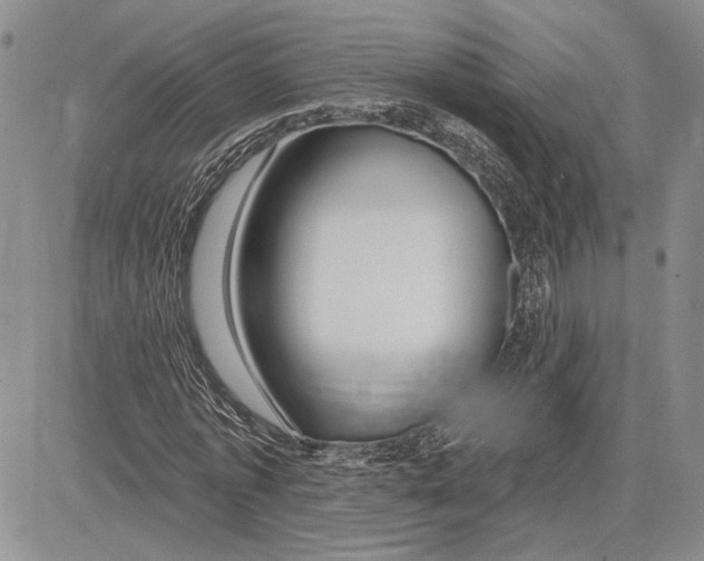 X0000081580773200702051238