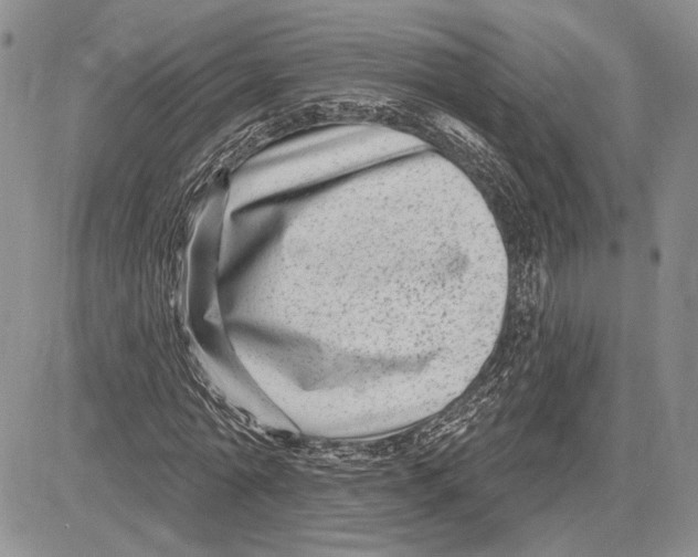 X0000081580774200702051238