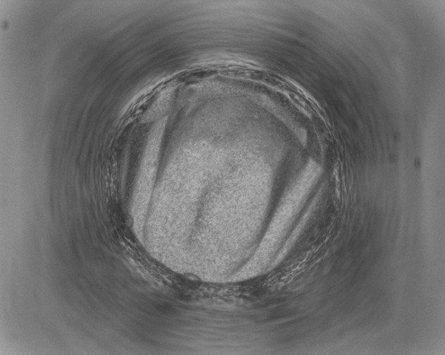 X0000081580775200702051238