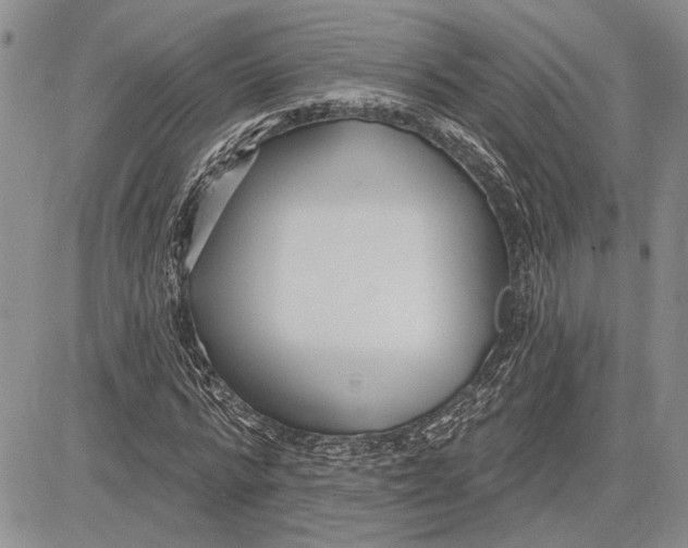 X0000081580776200702051238