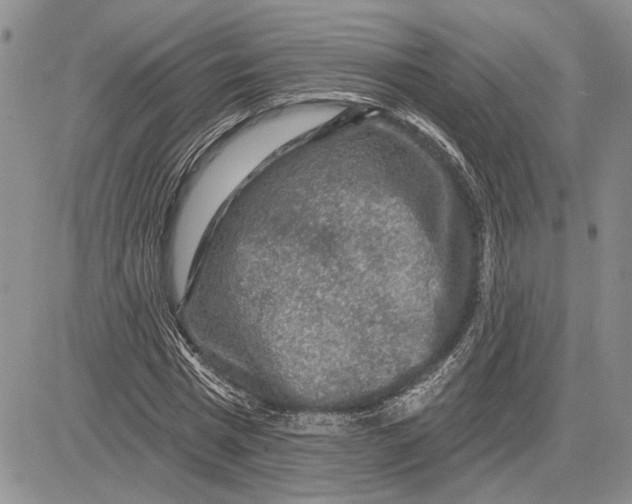 X0000081580777200702051238