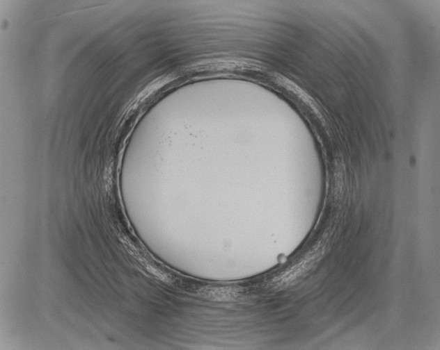 X0000081580778200702051238