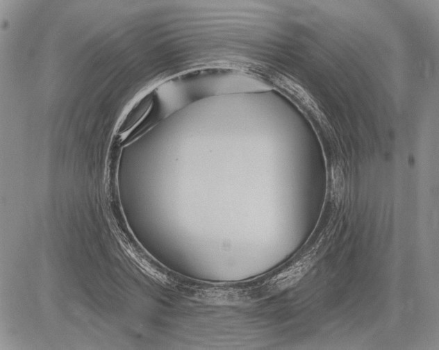 X0000081580780200702051238