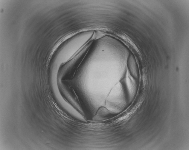 X0000081580781200702051238