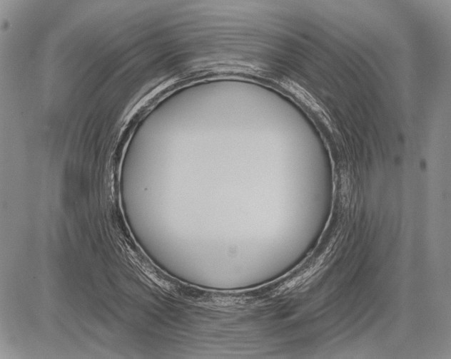 X0000081580782200702051238