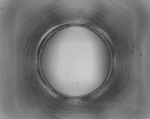 X0000081580784200702051238