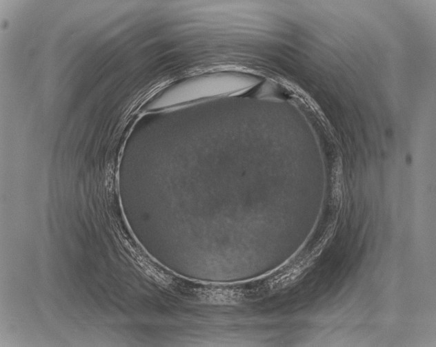 X0000081580785200702051238