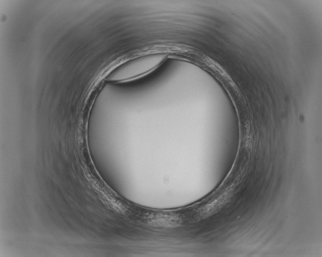 X0000081580786200702051238