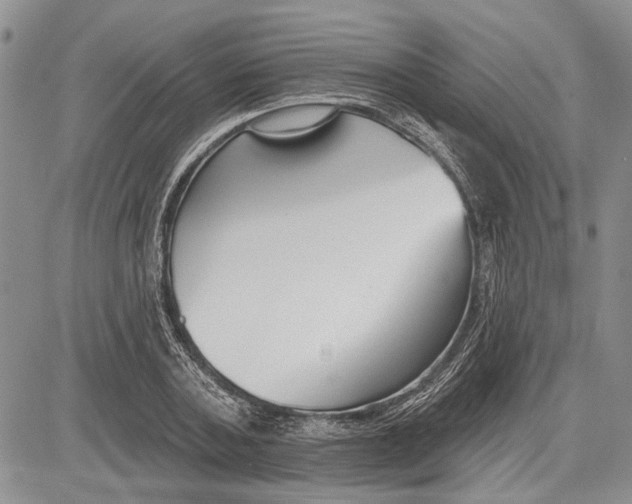 X0000081580787200702051238