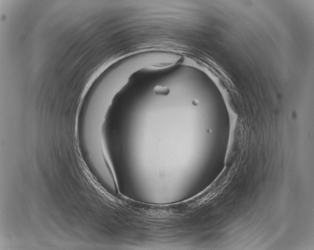 X0000081580788200702051238