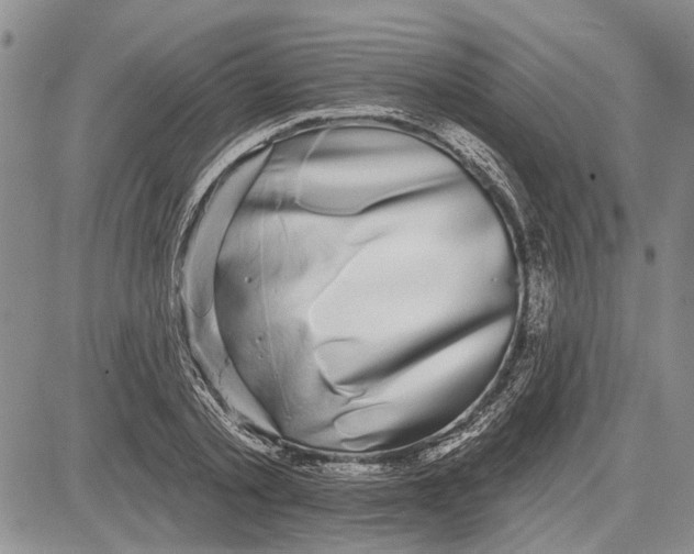 X0000081580789200702051238